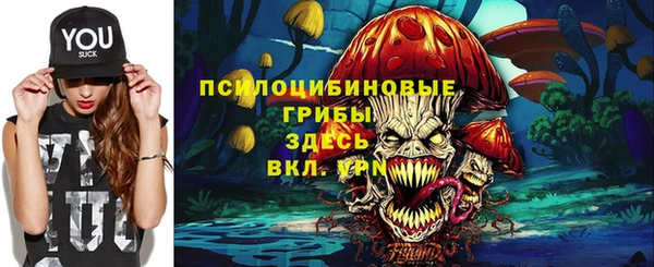 крисы Алексин