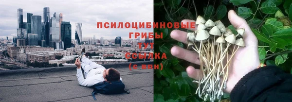 МДПВ Алексеевка