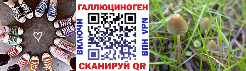 Псилоцибиновые грибы мухоморы  даркнет официальный сайт  Старая Русса 